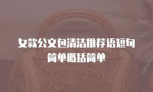 女款公文包清洁推荐语短句简单概括简单
