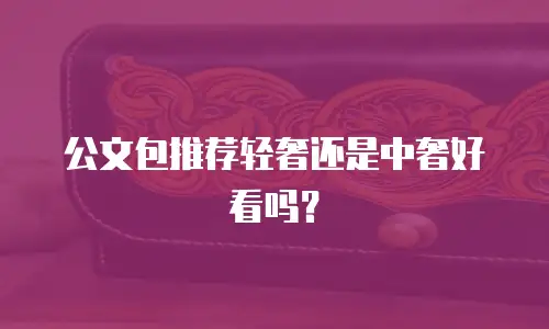 公文包推荐轻奢还是中奢好看吗？