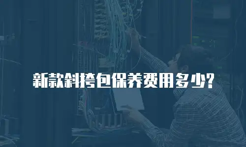 新款斜挎包保养费用多少?