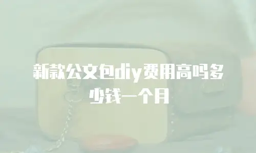 新款公文包diy费用高吗多少钱一个月