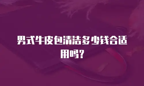 男式牛皮包清洁多少钱合适用吗？