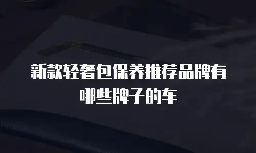 新款轻奢包保养推荐品牌有哪些牌子的车