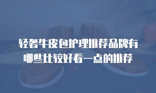 轻奢牛皮包护理推荐品牌有哪些比较好看一点的推荐