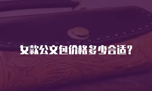 女款公文包价格多少合适？