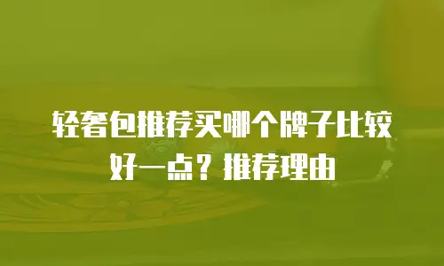 轻奢包推荐买哪个牌子比较好一点？推荐理由