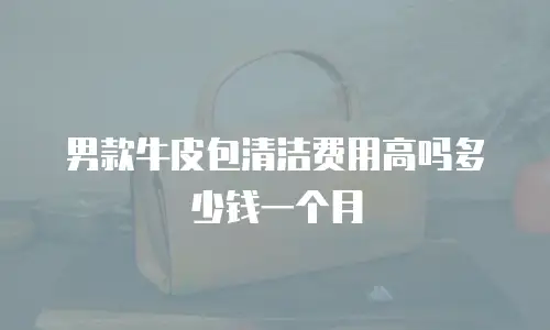 男款牛皮包清洁费用高吗多少钱一个月