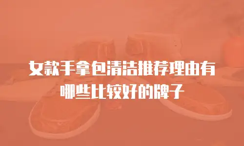 女款手拿包清洁推荐理由有哪些比较好的牌子