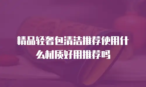 精品轻奢包清洁推荐使用什么材质好用推荐吗