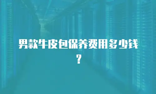 男款牛皮包保养费用多少钱？