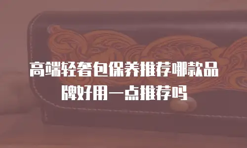 高端轻奢包保养推荐哪款品牌好用一点推荐吗