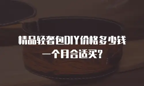 精品轻奢包DIY价格多少钱一个月合适买？