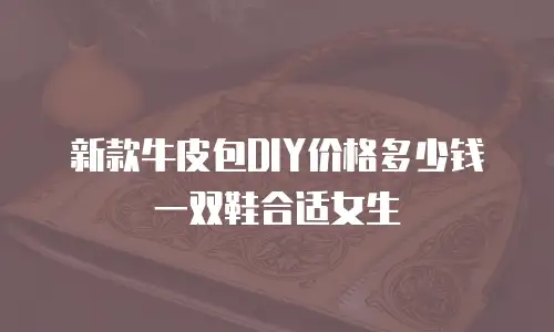 新款牛皮包DIY价格多少钱一双鞋合适女生