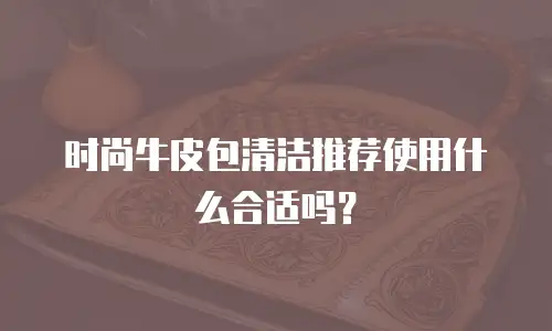 时尚牛皮包清洁推荐使用什么合适吗？