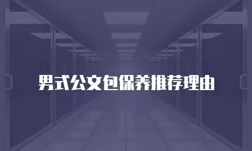  男式公文包保养推荐理由