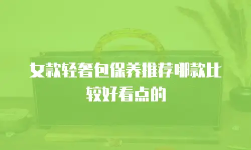 女款轻奢包保养推荐哪款比较好看点的