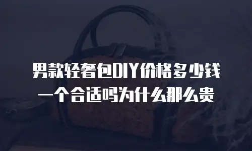 男款轻奢包DIY价格多少钱一个合适吗为什么那么贵