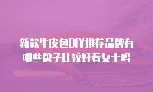 新款牛皮包DIY推荐品牌有哪些牌子比较好看女士吗