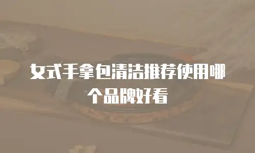 女式手拿包清洁推荐使用哪个品牌好看
