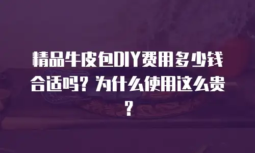 精品牛皮包DIY费用多少钱合适吗？为什么使用这么贵？