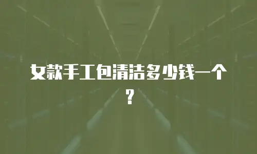 女款手工包清洁多少钱一个？