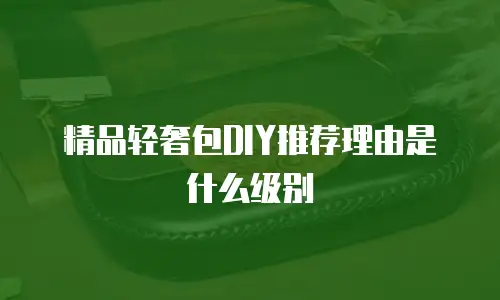 精品轻奢包DIY推荐理由是什么级别