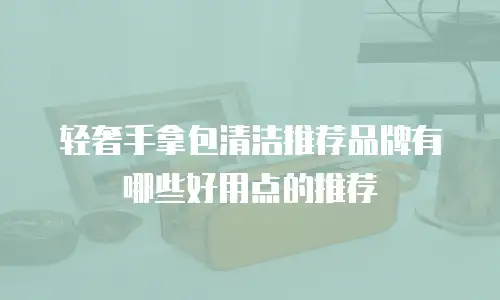 轻奢手拿包清洁推荐品牌有哪些好用点的推荐