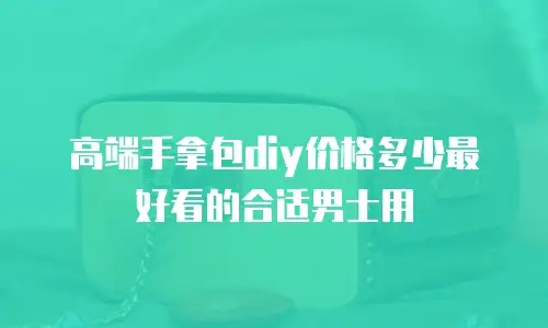 高端手拿包diy价格多少最好看的合适男士用