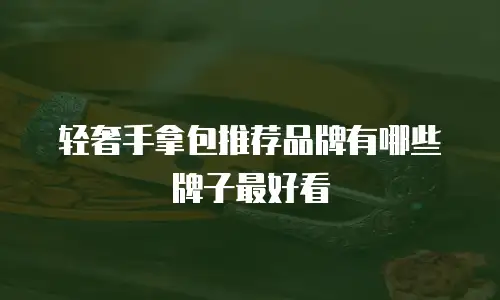 轻奢手拿包推荐品牌有哪些牌子最好看