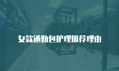女款通勤包护理推荐理由