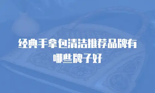经典手拿包清洁推荐品牌有哪些牌子好