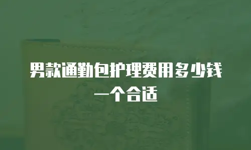 男款通勤包护理费用多少钱一个合适