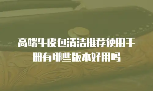 高端牛皮包清洁推荐使用手册有哪些版本好用吗