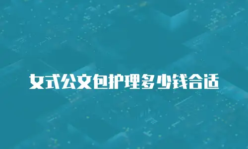 女式公文包护理多少钱合适