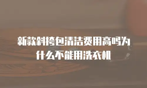新款斜挎包清洁费用高吗为什么不能用洗衣机