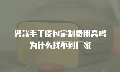 男款手工皮包定制费用高吗为什么找不到厂家
