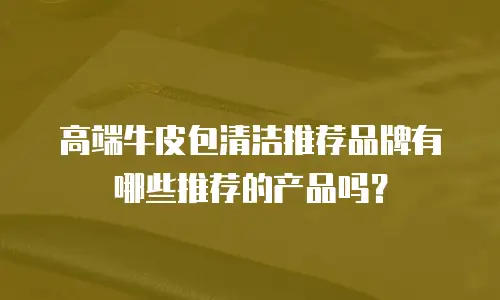 高端牛皮包清洁推荐品牌有哪些推荐的产品吗？