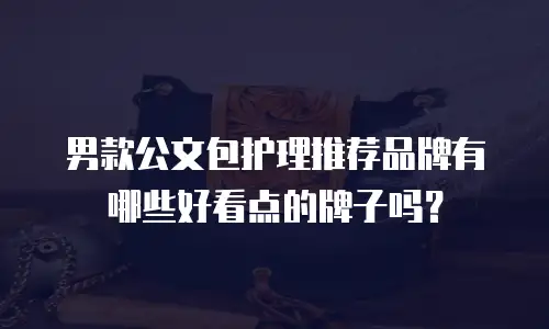 男款公文包护理推荐品牌有哪些好看点的牌子吗？