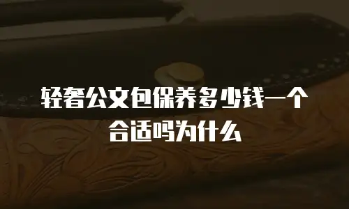 轻奢公文包保养多少钱一个合适吗为什么