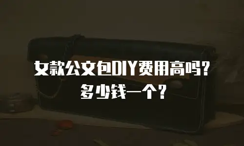 女款公文包DIY费用高吗？多少钱一个？
