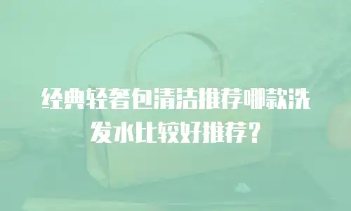 经典轻奢包清洁推荐哪款洗发水比较好推荐？