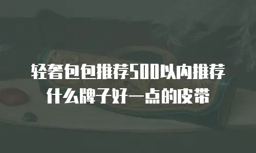 轻奢包包推荐500以内推荐什么牌子好一点的皮带