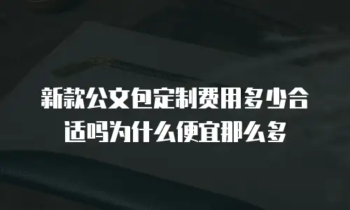 新款公文包定制费用多少合适吗为什么便宜那么多