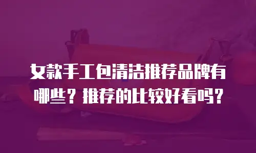 女款手工包清洁推荐品牌有哪些？推荐的比较好看吗？