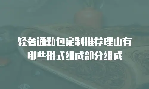 轻奢通勤包定制推荐理由有哪些形式组成部分组成
