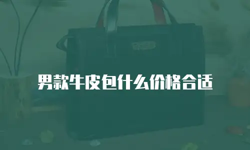 男款牛皮包什么价格合适