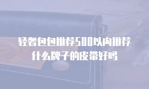 轻奢包包推荐500以内推荐什么牌子的皮带好吗