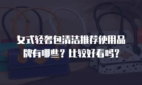 女式轻奢包清洁推荐使用品牌有哪些？比较好看吗？