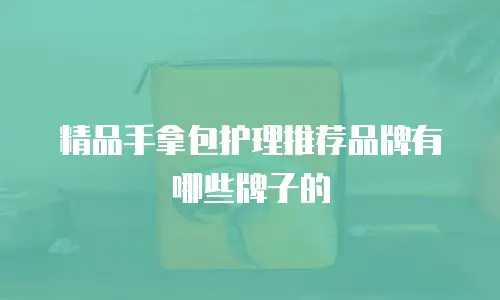 精品手拿包护理推荐品牌有哪些牌子的