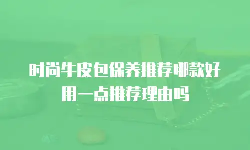 时尚牛皮包保养推荐哪款好用一点推荐理由吗