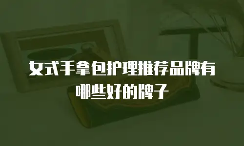 女式手拿包护理推荐品牌有哪些好的牌子